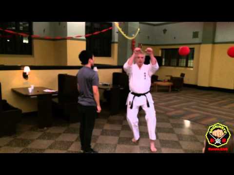 Gojushiho Bunkai--Double High Block Sequence