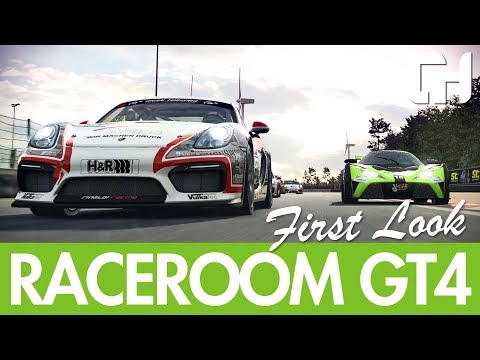 RaceRoom GT4 Cars First Look [R3E]