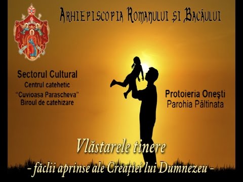 Proiect Paltinata  ARB