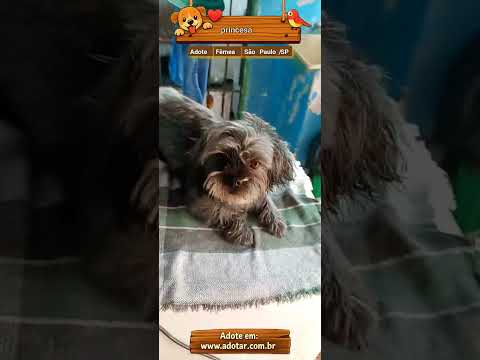 Vídeo de princesa 