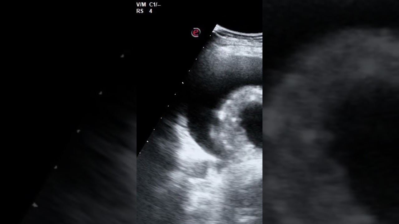 Roberto-Paolo Zambelli-32