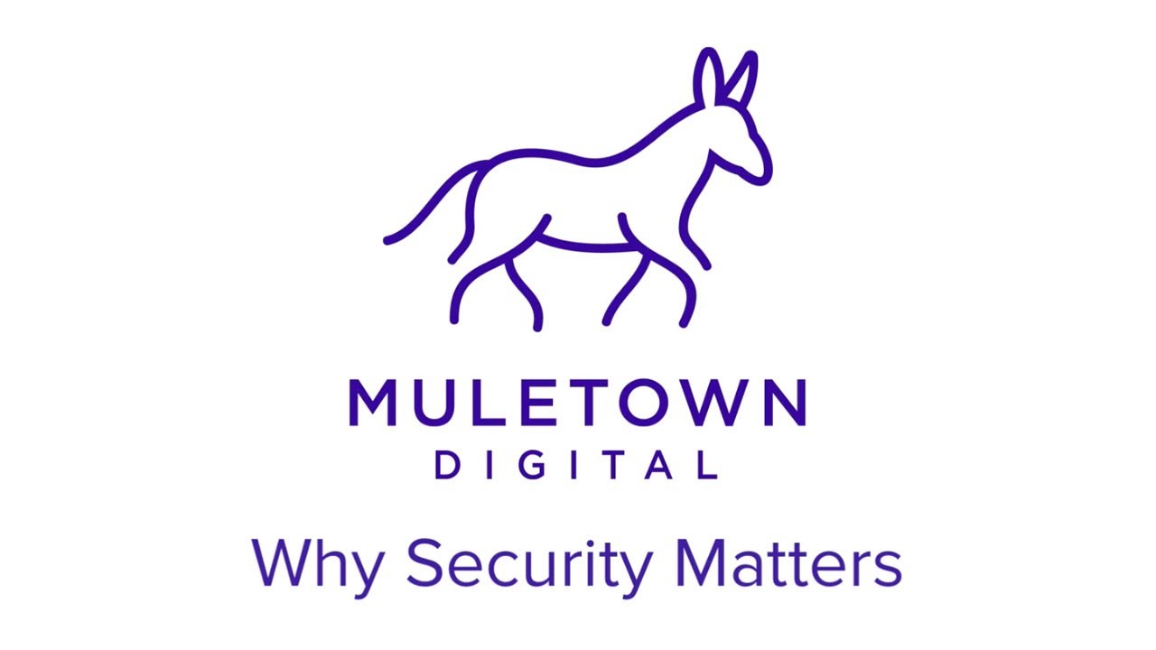 Why Website Security Matters   Muletown Digital