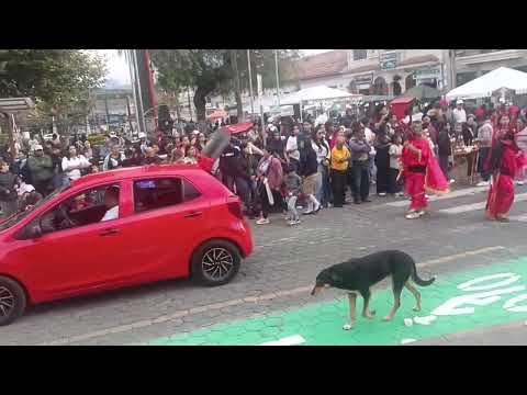 Dia de los Inocentes en Cotacachi, Imbabura, Ecuador 2026