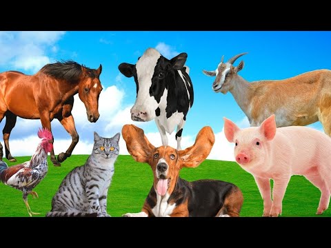 Farm Animals Part 16 - Dog, Cow, Chicken, Cat, Goat - Animal Videos #101