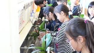 寺子屋キッズスクール