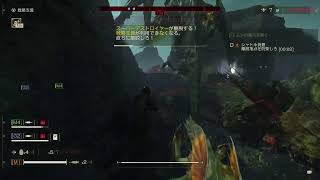 はほーん