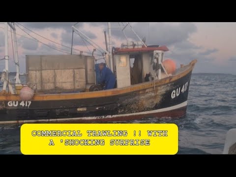 UK commercial Trawling  with some " shocking " surprises!!#uk #trawling #boat #fishing #stingray