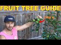 A Complete Guide To GROWING FRUIT TREES From Transplant To Maturity