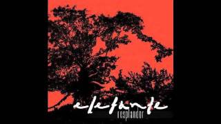 Elefante - Puertas Abiertas