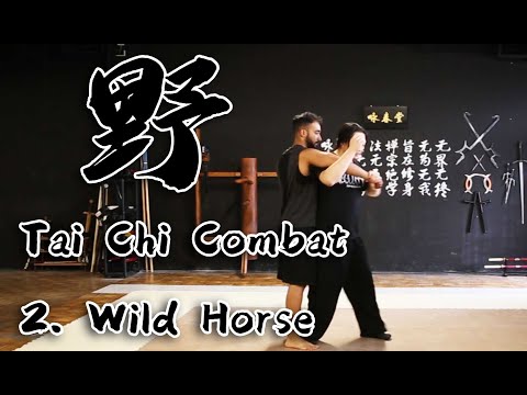Tai Chi Combat Application - 2. Wild Horse Parts Mane