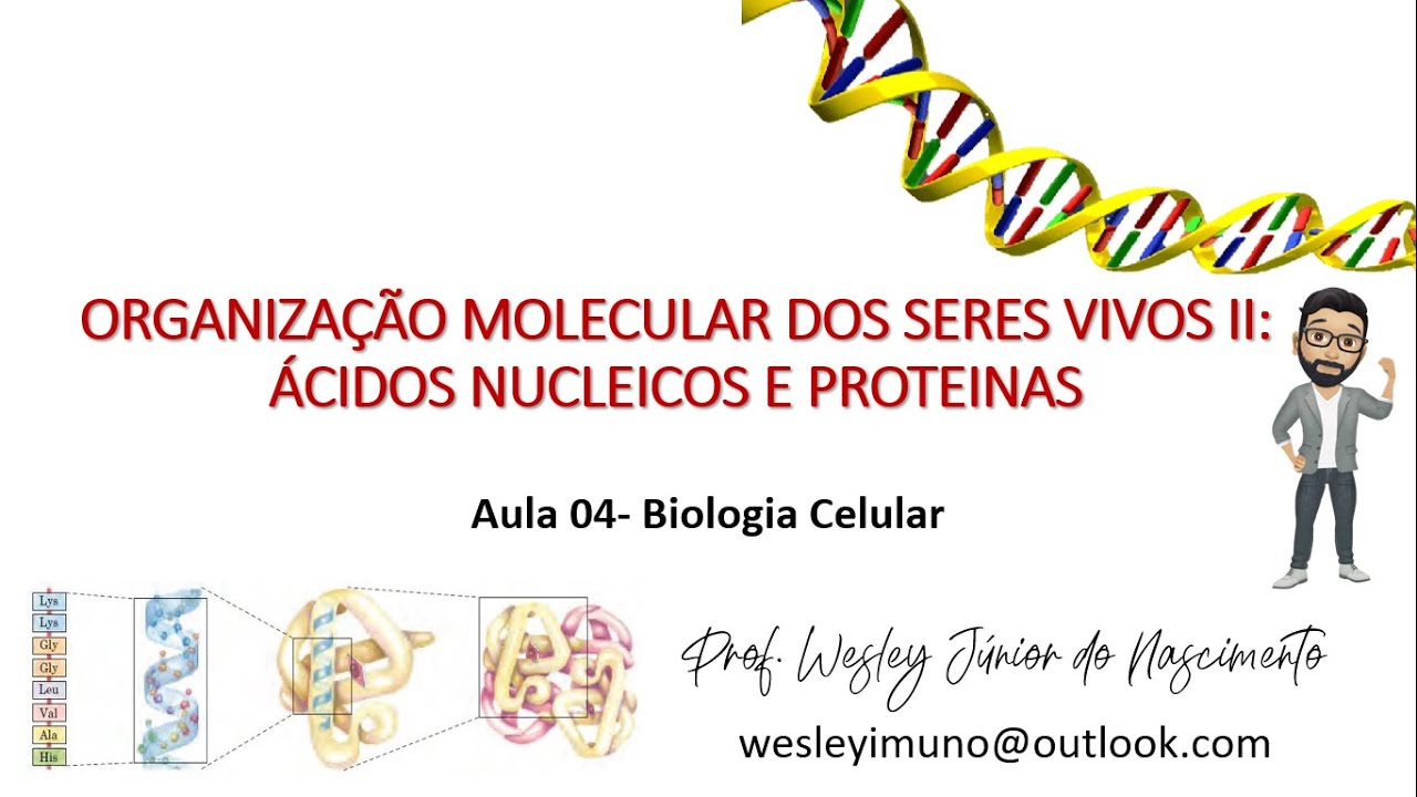 Biologia Celular -Ensino Superior-Aula 04: Organização Molecular II- Ácidos Nucleicos e Proteínas