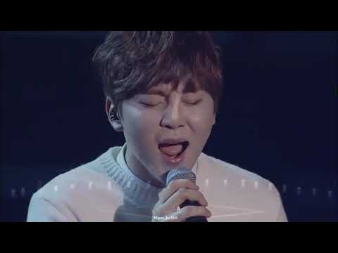 2015 LIKE SEVENTEEN BOYS WISH CONCERT  IN SEOUL - Say yes