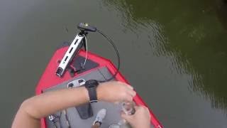Воблеры evergreen combat crank 480