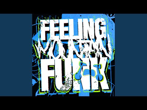 FEELING MOUNTAIN FUNK