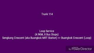 [Route Visual] SBS Transit Trunk 114