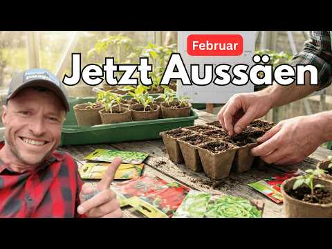 Sowing in February: 10 vegetables you should start indoors now! (including variety tips + giveaway)