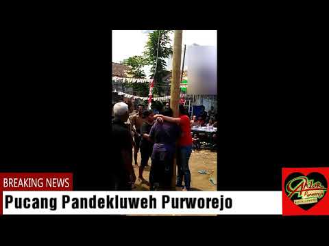 Dia menyewa penis kecil Obat potensi Forum