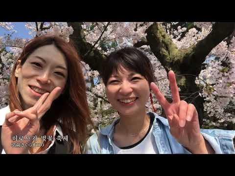 【HIROSAKI】성과 벚꽃과 사과의 도시 히로사키