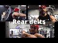REAR DELT TIP