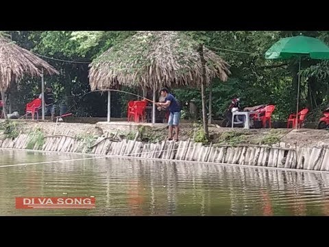 Câu cá giải trí ở hồ câu Thủ Đức - Sài Gòn