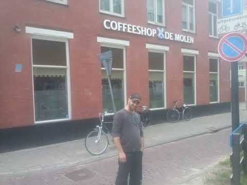 Querk, Garnitur, Maharadża - miasto