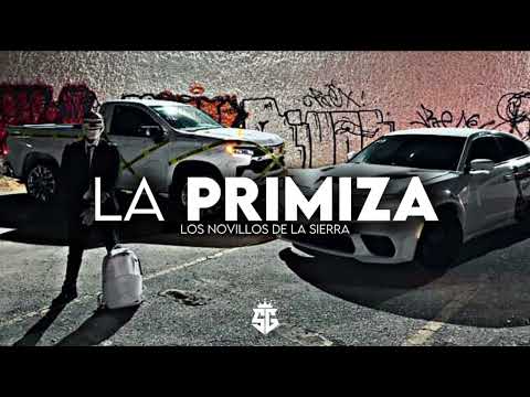 Los Novillos De La Sierra - La Primiza (Corridos 2025)