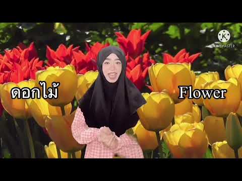 หน่วย ดอกไม้แสนสวย (อนุบาล)