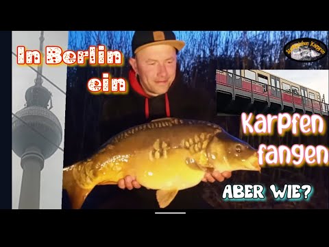 One Night Stand in Berlin! Carpfishing Urban $ angeln mal anders 👍