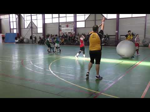 D1F Kin-Ball - 16-03-2025 - Nantes 1 F - Maubeuge F - Ponts de Cé 1 F