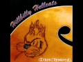 Hillbilly Hellcats / Rockabilly Rebel 