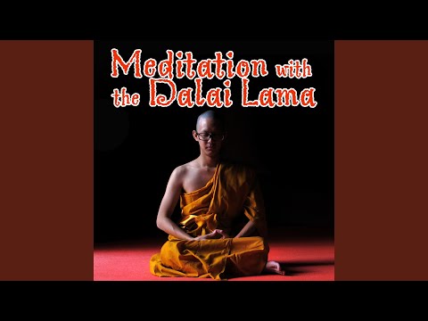 Download A Peaceful Dream Destiny Mp3 dan Mp4 2019