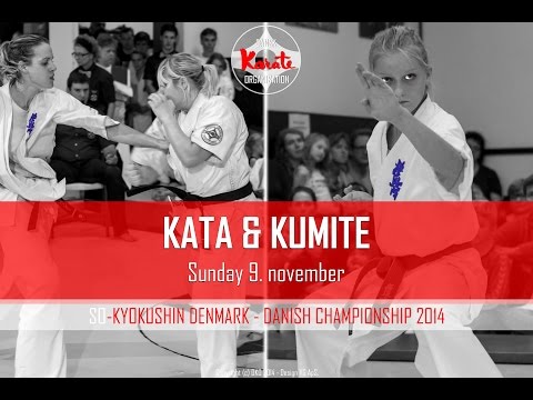 DKO Danish So Kyokushin Championship 2014