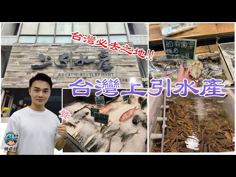 [Peixe e feijão velho] Taiwan Gourmet Fun VÍCIO DESENVOLVIMENTO AQUÁTICO