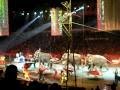 Ringling Bros And Barnum Bailey Circus 8 9 09