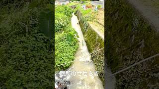 【滋賀・膳所】町中にある小さなせせらぎ｜何気ない風景