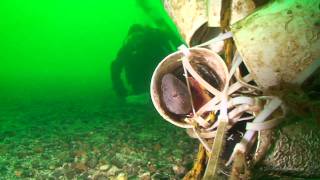 preview picture of video 'Diving the Polyhedron at the Mukilteo T-Dock divesite'