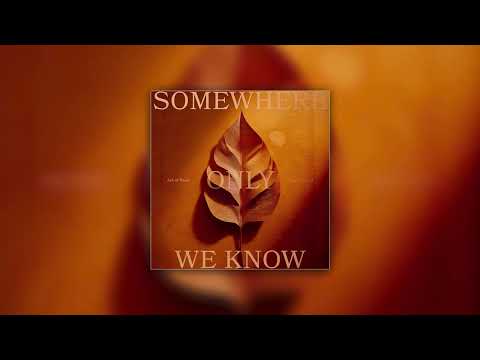 Ark of Noah, Sam Tinnesz - "Somewhere Only We Know (Keane Cover)" (Official Audio)