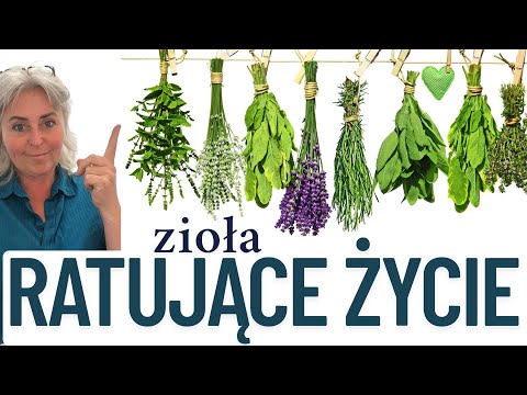 5 ziół, które mogą URATOWAĆ Ci życie