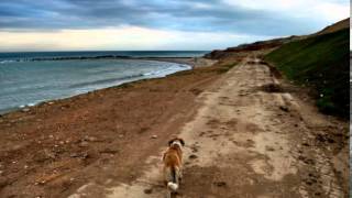 Sophie Zelmani - Love (lyrics)