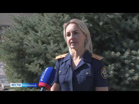 Новые подробности в деле о хищении