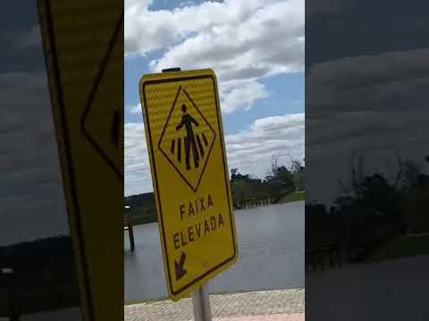 pinheiro espírito santo 😍 #shortvideo #carreteiros #viralvideo #shortvideos