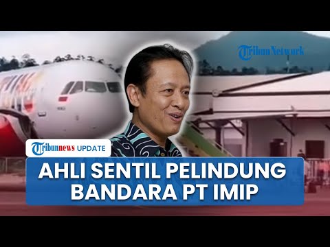 Polemik Bandara IMIP Morowali bak Negara Sendiri, Prof Henri Sindir 'Oknum' yang Coba Melindungi