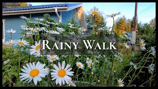 RAINY Walking Tour around  MY HOUSE \ Russia Saint Petersburg 2024.