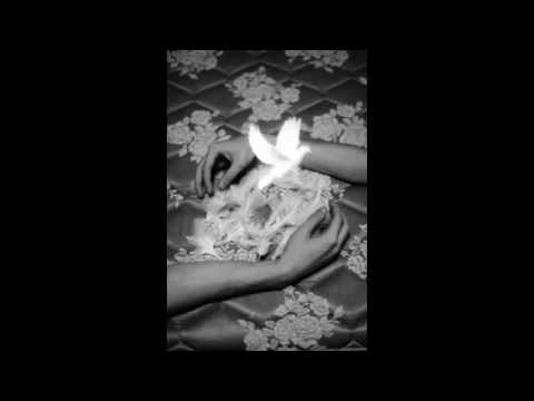 My Dove My Lamb video