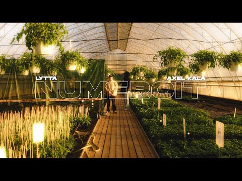 Video thumbnail for Numeroit