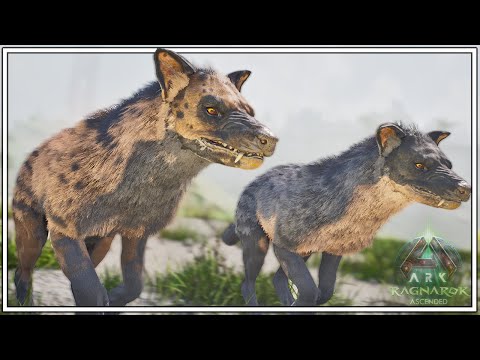 Did They Make Hyaenodon Taming Easier?? | Ark: Ragnarok Ep11