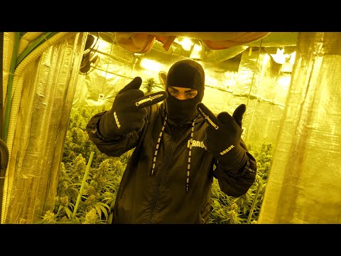 KORPE - MISION (NAVESO PROD.) (VIDEOCLIP BY NSC DANI)