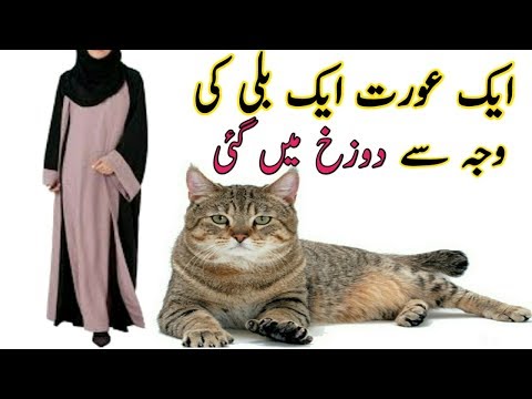 Aurat Aur Billi Ka Waqia //Rasool Allahﷺ Ki Hadees //Jan Pakistan TV