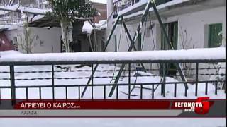 ΑΓΡΙΕΥΕΙ Ο ΚΑΙΡΟΣ...