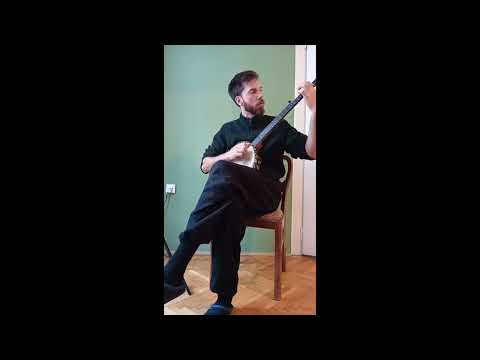 Ten Stabs "Djembala" 5-String Mahogany Banjo 2024 + Video image 14